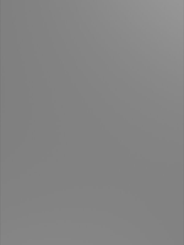 Elephant grey