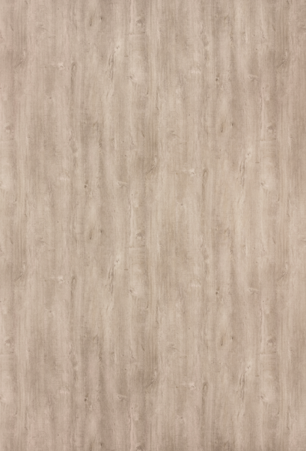 Rila Oak