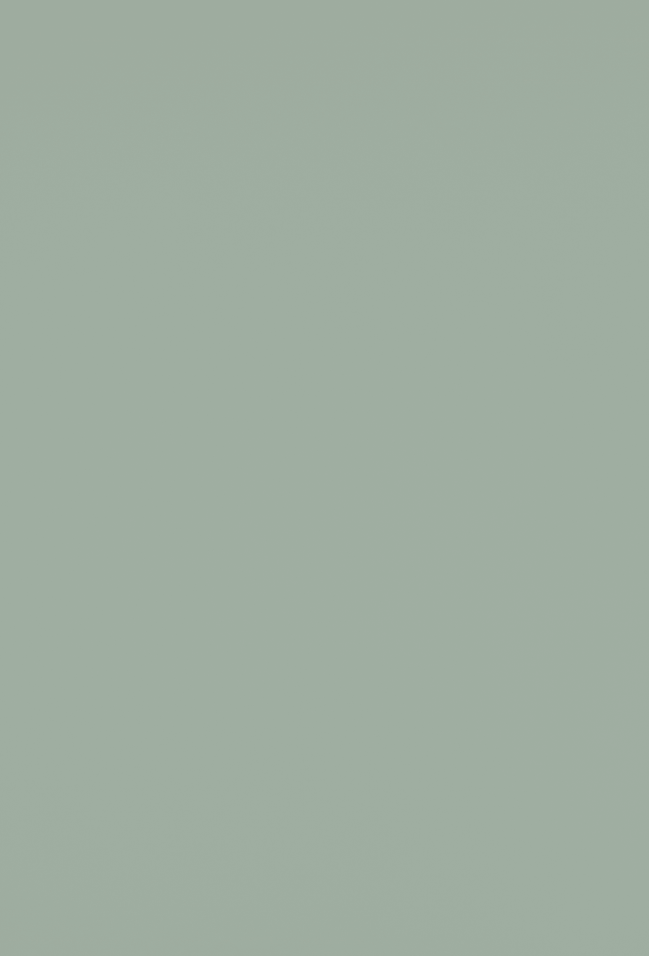 Industrial green Strat'else Négoce de panneaux de bois et dérivés