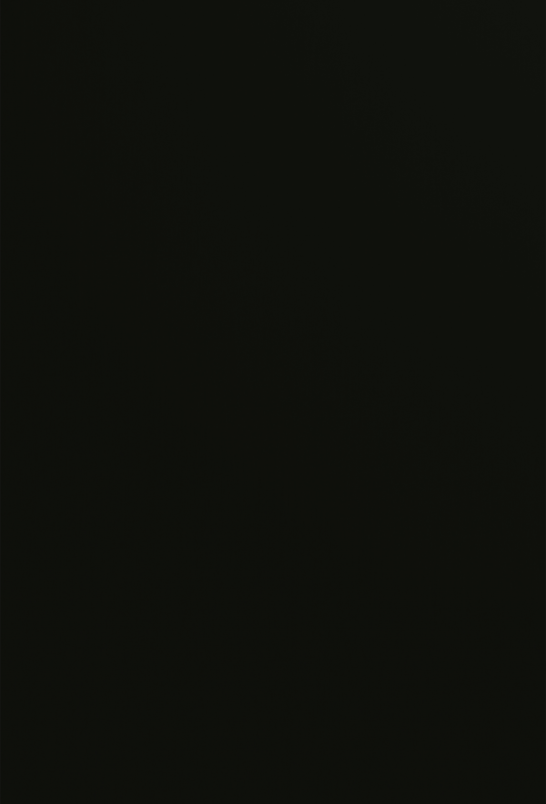 Elegant black