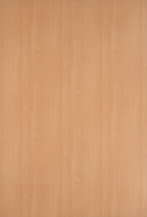 Jura Beech