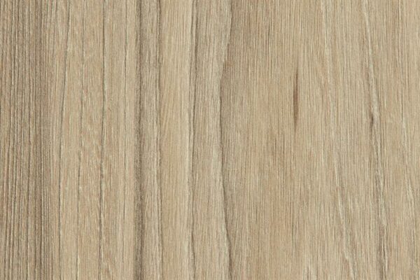 Berlin Elm