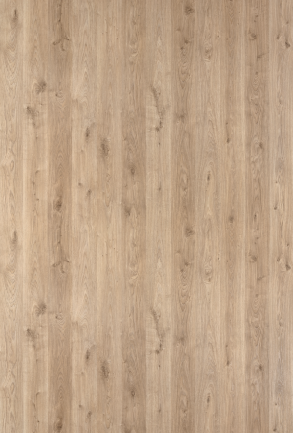 Minnesota Oak natural