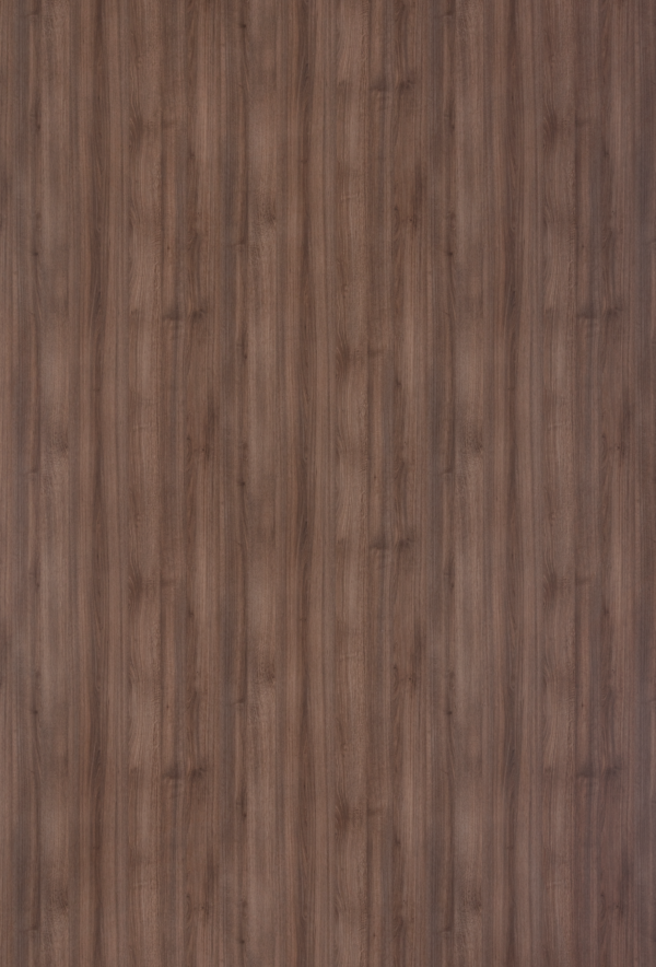 Garonne Oak