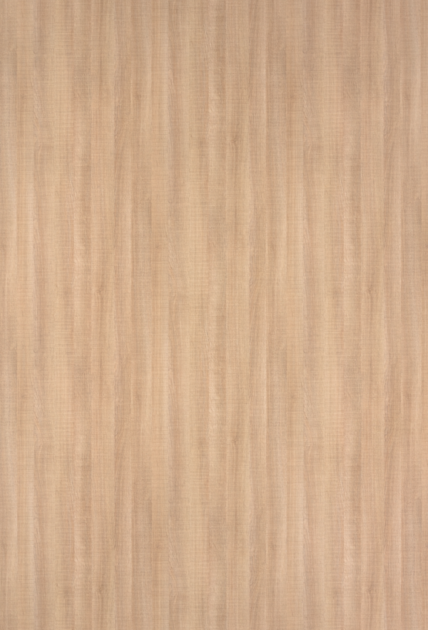 Canice Oak