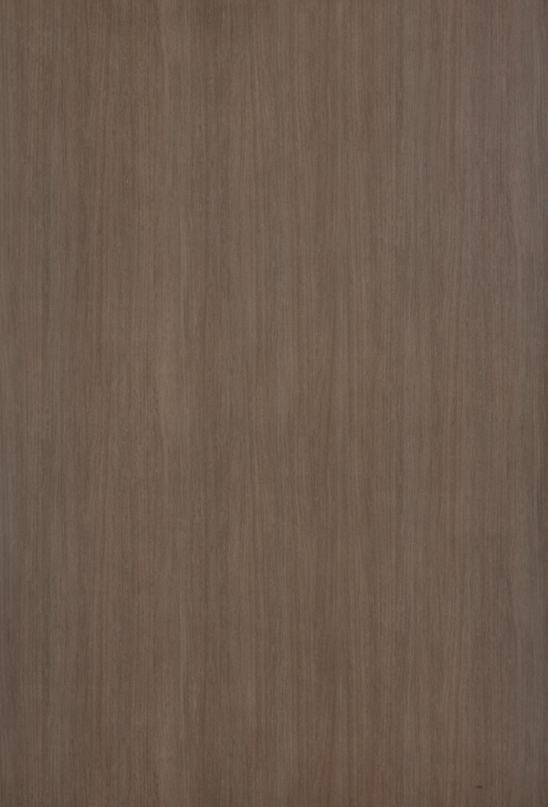 Sinai Oak