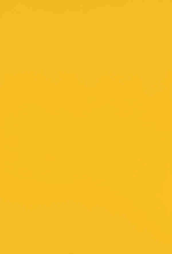 Amber yellow - Rouleau de chant (150 ml)  - 23x0.8 mm