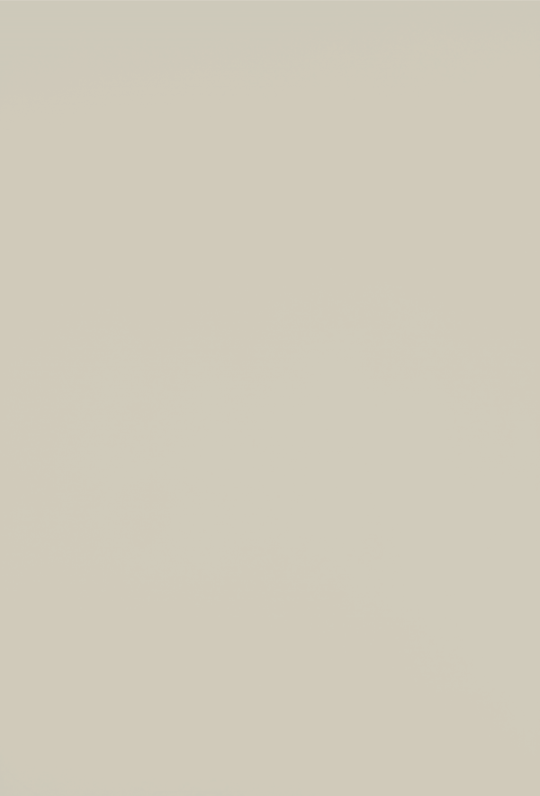 Turtle grey