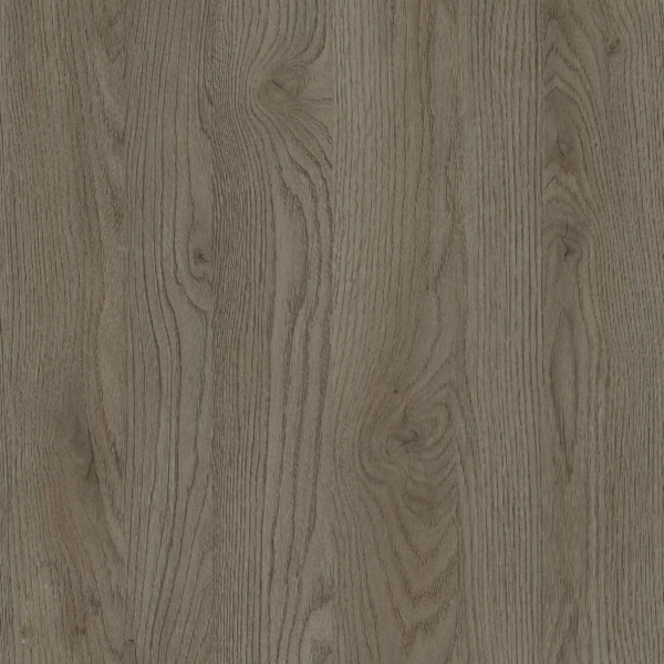 Frappe Oak