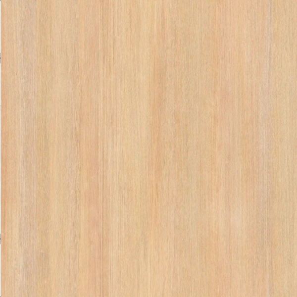 Tender Oak Natural - Rouleau de chant (150 ml)  - 23x0.8 mm